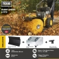 Preview: TEXAS Handy Sweep 619TG 3in1 179ccm Kehrmaschine Benzin mit Schneeschild 60cm 