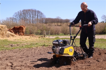 Texas Egge Eggenaufsatz 60cm passend für Texas Bodenhacke Lilli 5 